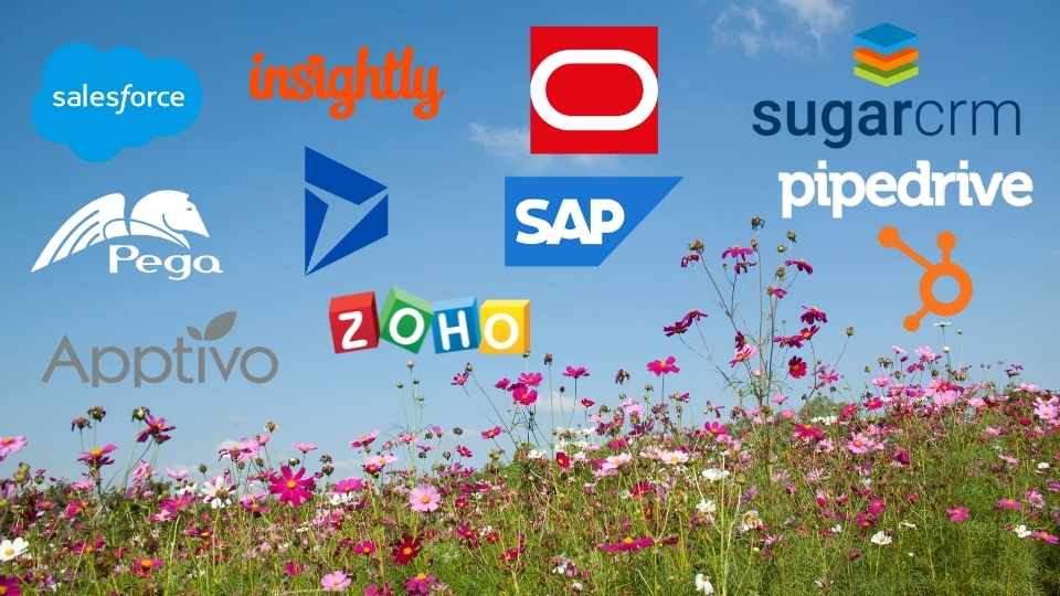Salesforce, Pega, Hubsport CRM, SugarCRM, Apptivo, Zoho, Pipedrive, Sap, Oracle, insightly...